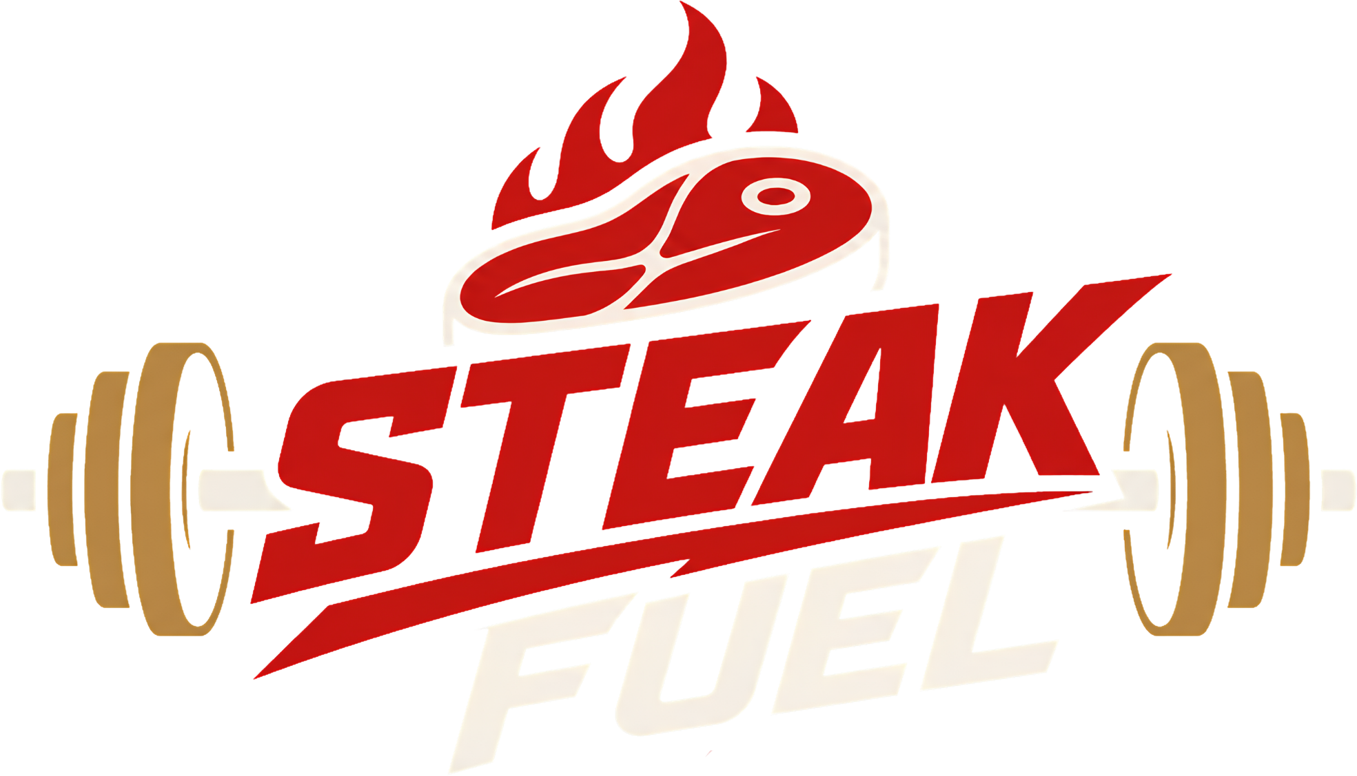 STEAK FUEL air-cured biltong brand logo.